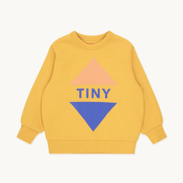 TINY TRIANGLE SWEATSHIRT