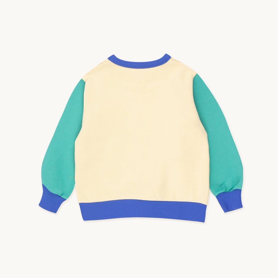 COLOR BLOCK SWEATSHIRT