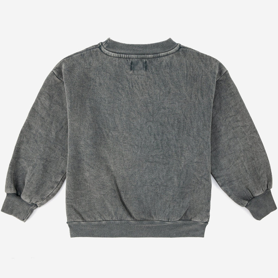 PARTY CAT SWEATSHIRT